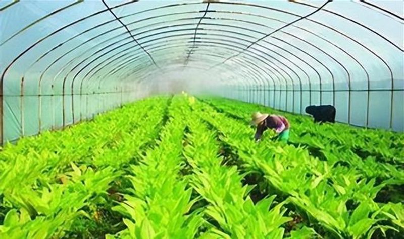 在当前的市场环境下，许多企业都在寻找新的发展方向以应对市场的变化。对于许昌正好农业有限公司而言，近期农产品和化工板块出现了明显的资金流出情况。这种情况是否意味着公司需要做出调整呢？让我们一起探讨一下。