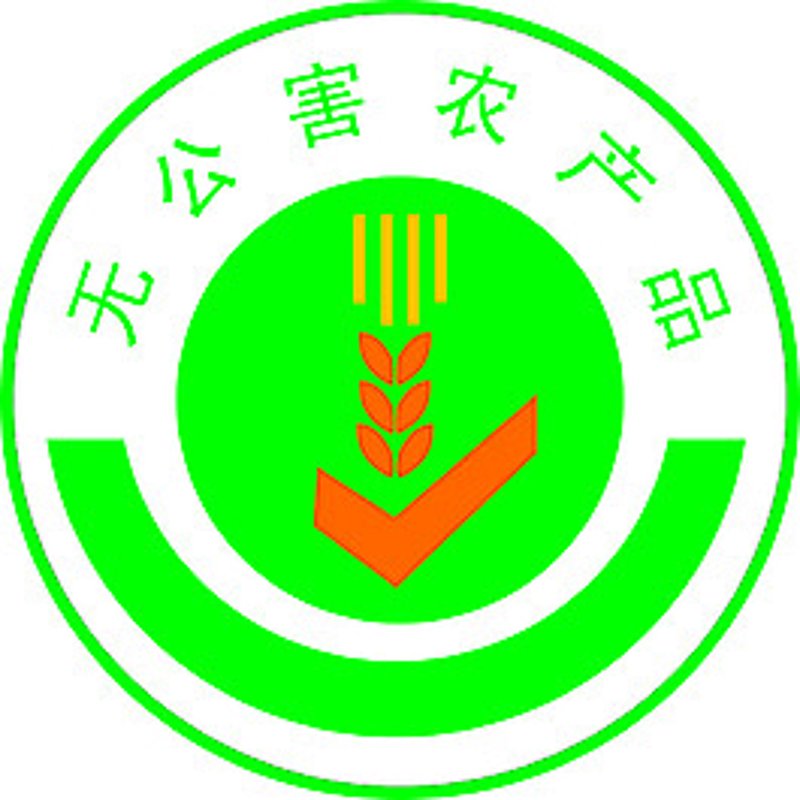 谷物是人体获取能量的重要来源，选择合适的谷物对于保持身体健康至关重要。