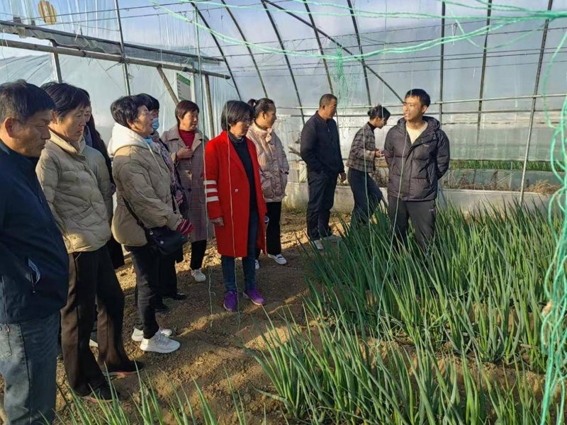 如何选择适合家人的健康谷物？