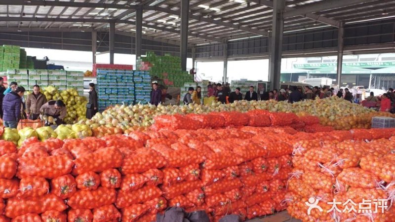 农产品A股股东户数为何增加？——行业趋势与市场洞察