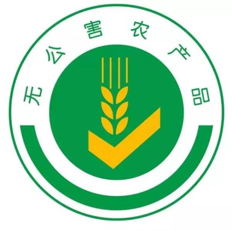 健康谷物推荐——带你了解五谷杂粮